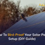 How To Bird-Proof Your Solar Panel Setup (DIY Guide)